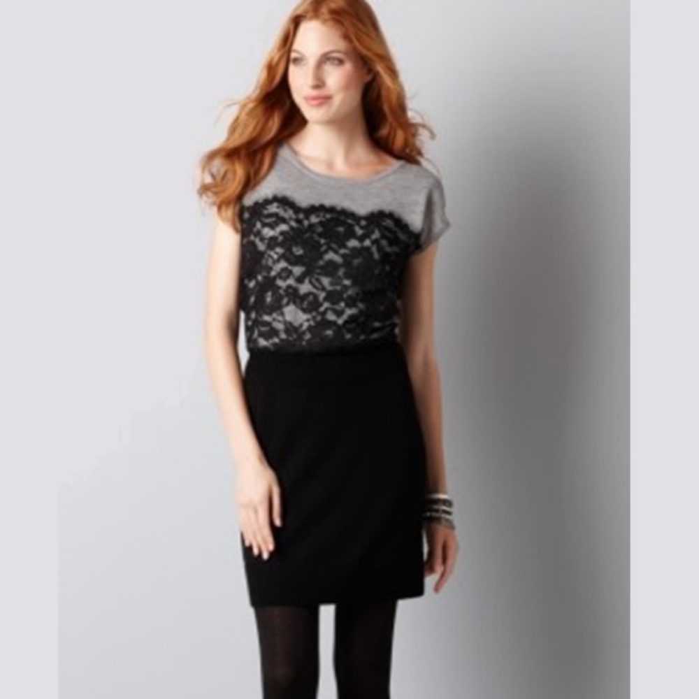 Loft Sweater Dress NWT